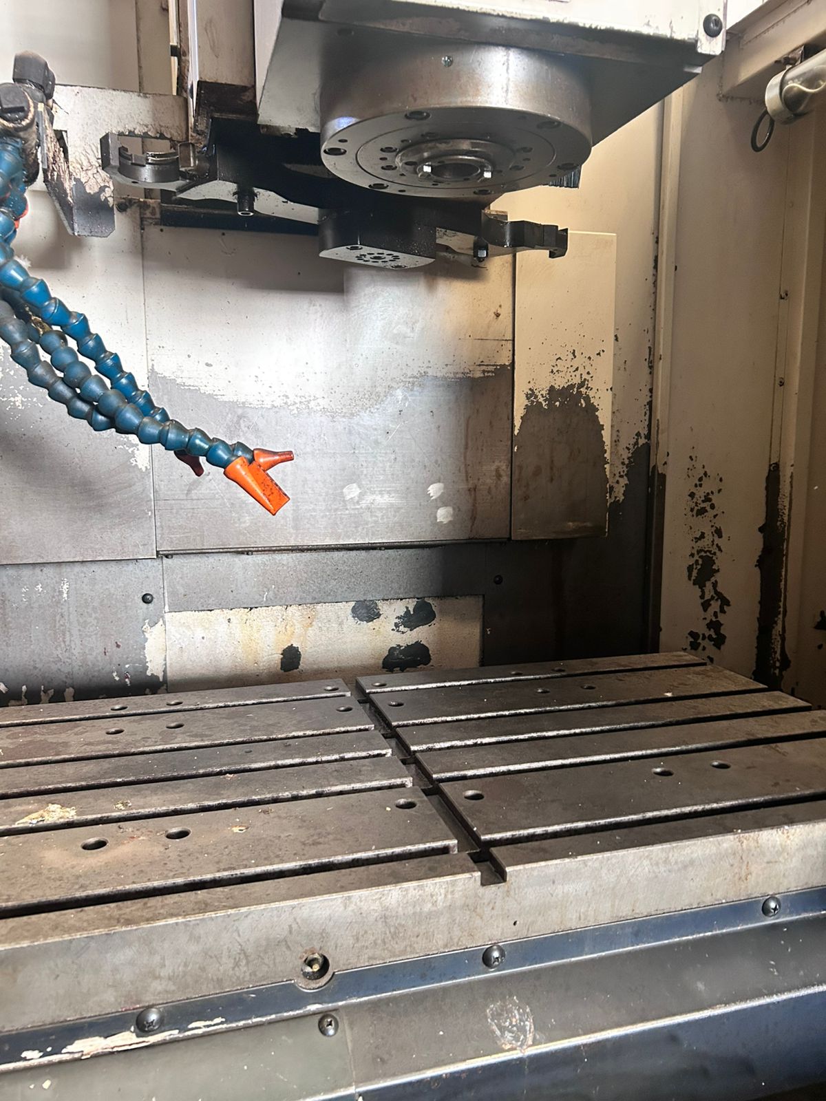 WhatsApp Image 2026-02-03 at 4.23.14 PM (2)